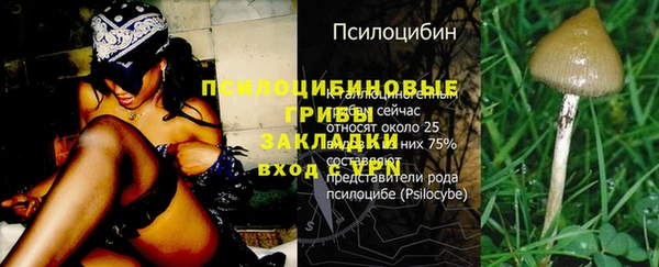 MDMA Гусиноозёрск