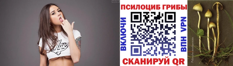 Галлюциногенные грибы Magic Shrooms  Уфа 