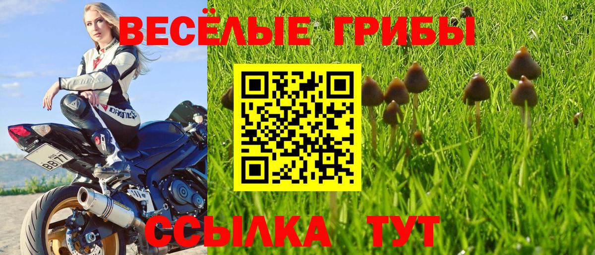 Уфа  Галлюциногенные грибы Magic Shrooms  Вход с VPN 