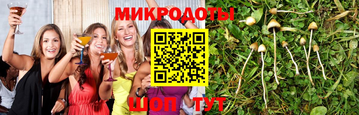 Псилоцибиновые грибы MAGIC MUSHROOMS Уфа